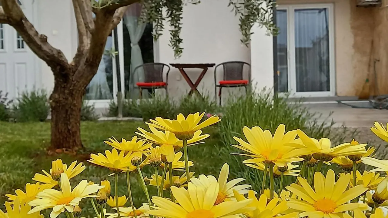 Leona Apartment Vidikovac, Pula Croácia